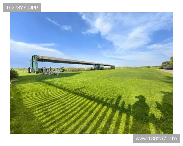 鄂尔多斯在线直播：云端畅游草原都市新风貌